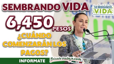 SEMBRANDO VIDA| ¿CUÁNDO COMENZARÁN LOS PAGOS PARA LOS BENEFICIARIOS?