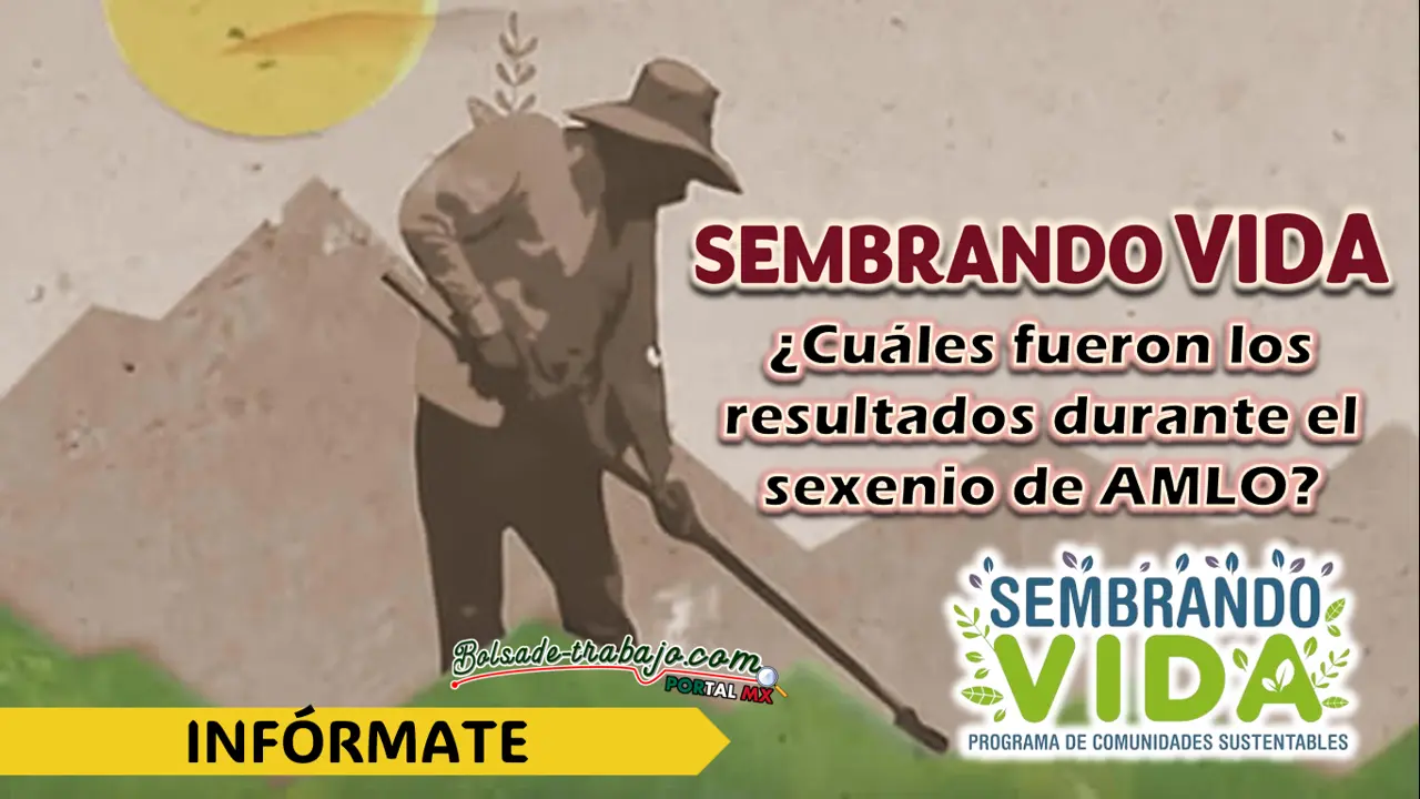 SEMBRANDO VIDA| ¿CUÁLES HAN SIDO LOS RESULTADOS?