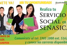 Convocatoria Servicio Social en SENASICA