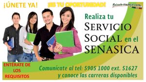 Convocatoria Servicio Social en SENASICA