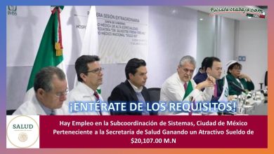 Empleo en Subcoordinación de Sistemas, Ciudad de México