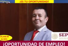 Empleo a Subdirección de Programas de Apoyo al Servicio Profesional Docente, Ciudad de México