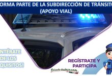 Convocatoria Subdirección de Tránsito (Apoyo Vial) en Tepoztlán, Morelos