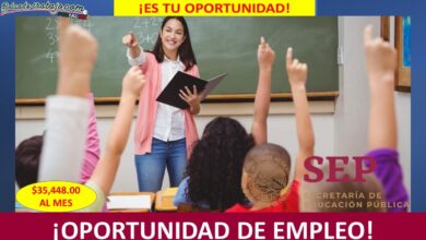 Empleo en Subdirección de Vinculación para el Desarrollo de Capacidades Técnicas