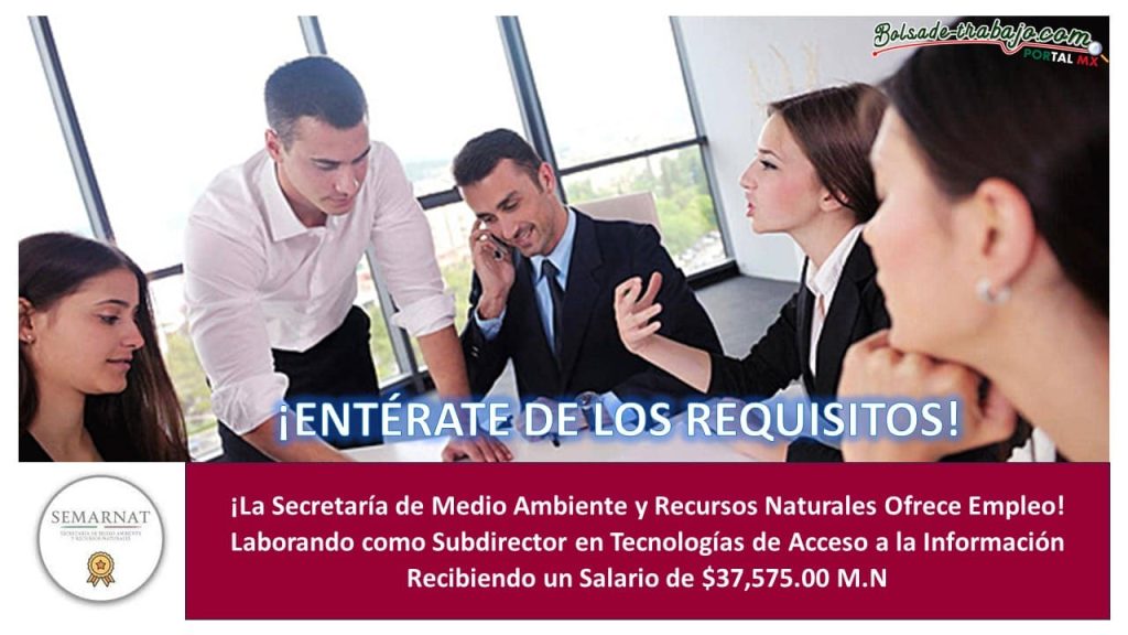 Empleo como Subdirector en Tecnologías de Acceso a la Información