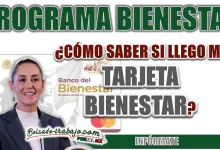 PROGRAMA BIENESTAR| ¿CÓMO SABER SI LLEGO MI TARJETA BIENESTAR EN EL MES DE FEBRERO?