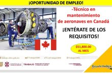 Empleo de Técnico en Mantenimiento de Aeronaves en Canadá