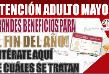 ¡Ahorra más! Conoce los grandes beneficios de la tarjeta INAPAM para Adultos Mayores en fin de año