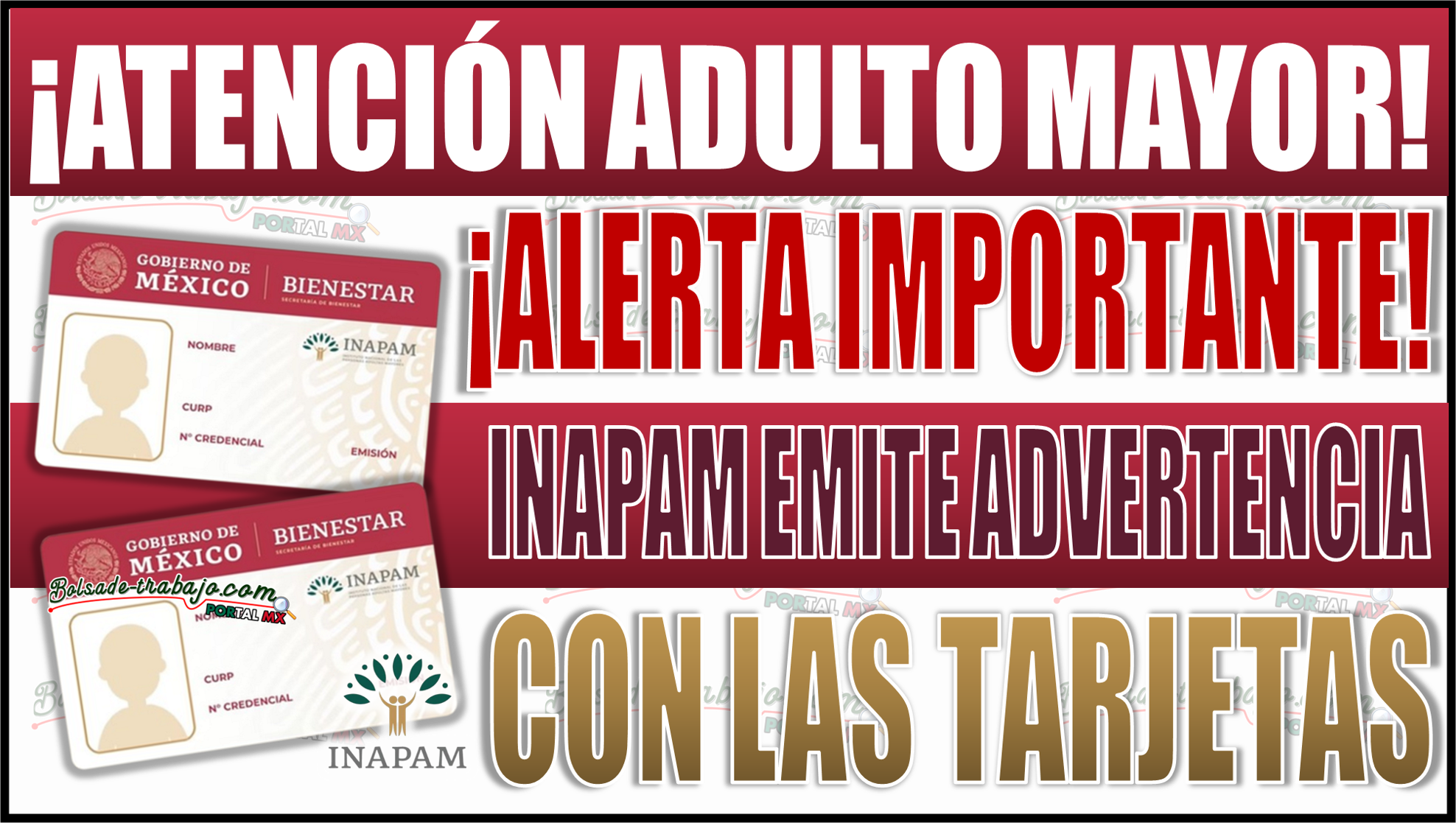 ¡Alerta! INAPAM emite advertencia crucial para Adultos Mayores con tarjetas