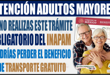 ¡Atención adultos mayores! El beneficio del transporte gratuito cambiará si no realizan este trámite obligatorio del INAPAM