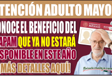¡Atención adultos mayores! Este beneficio del INAPAM ya no está disponible en 2025