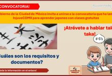 ¡Atrévete a hablar taka taka! El Gobierno de la Ciudad de México invita a unirse a la convocatoria que ha lanzado InjuveCDMX para aprender japones con clases gratuitas – Conoce como registrarse