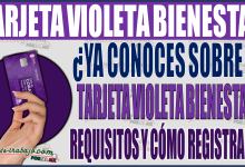 ¡Descubre la tarjeta Violeta Bienestar 2024! Cómo registrarse y requisitos para mujeres