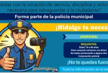 ¡Empleo de policía! Conoce la convocatoria de reclutamiento de San Bartolo Tutotepec, el cual está invitando a participar con hasta 40 años