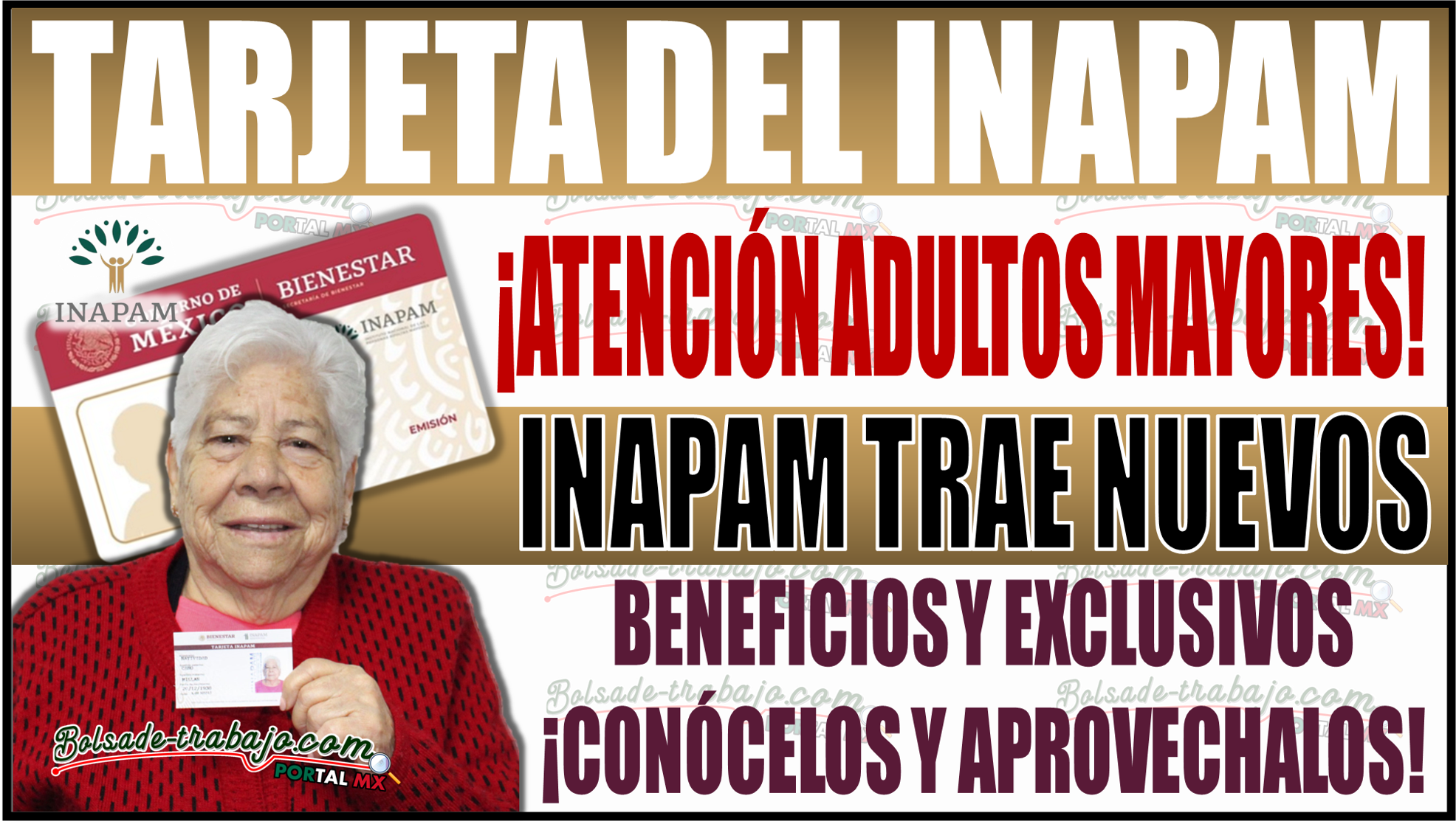 ¡Grandes noticias para los adultos mayores! INAPAM trae nuevos beneficios exclusivos ¡Conócelos!