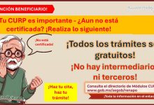 ¡No pierdas tu apoyo! Tu CURP es importante - ¿Aun no está certificada? ¡Realiza lo siguiente!