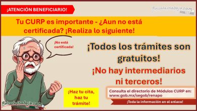 ¡No pierdas tu apoyo! Tu CURP es importante - ¿Aun no está certificada? ¡Realiza lo siguiente!