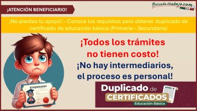 ¡No pierdas tu apoyo! – Conoce los requisitos para obtener duplicado de certificado de educación básica (Primaria – Secundaria)