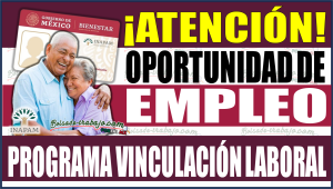 ¡Oportunidades de empleo para Adultos Mayores! Descubre el programa de Vinculación Laboral del INAPAM