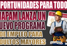 ¡Oportunidades para todos! INAPAM lanza un nuevo programa de empleo para Adultos Mayores