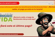 ¡Revisa tu saldo, el pago de Sembrando vida ya está aquí! ¿Será este el último pago?