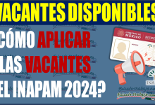 ¡Trabajo para todos! Descubre cómo aplicar a las vacantes del INAPAM 2024 para Adultos Mayores de 60 años