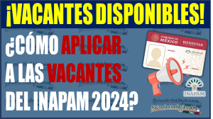 ¡Trabajo para todos! Descubre cómo aplicar a las vacantes del INAPAM 2024 para Adultos Mayores de 60 años