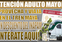 ¡Viaja en el tren maya con descuento INAPAM! Descubre cómo obtener tarifas reducidas y vive una aventura inolvidable