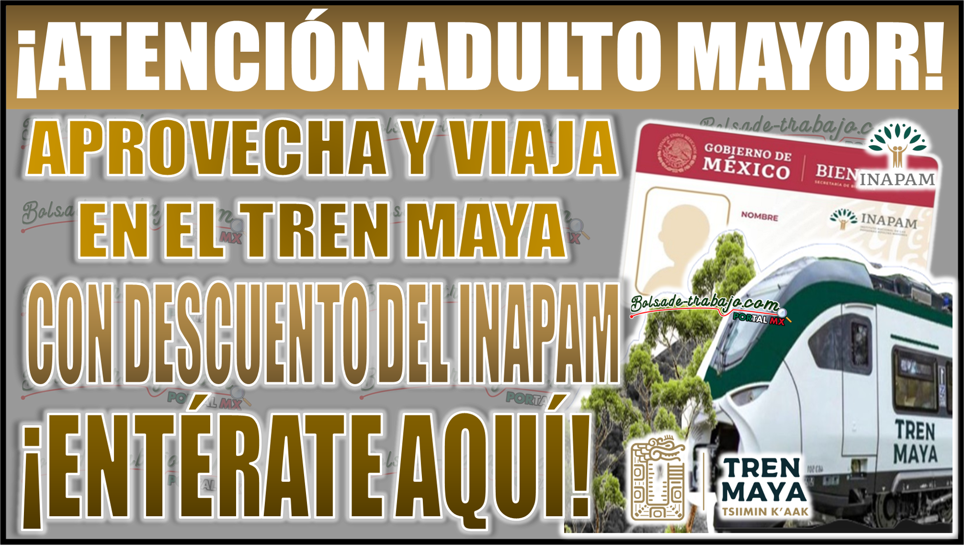 ¡Viaja en el tren maya con descuento INAPAM! Descubre cómo obtener tarifas reducidas y vive una aventura inolvidable